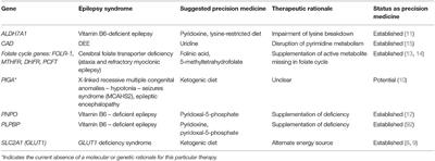 A Review of Targeted Therapies for Monogenic Epilepsy Syndromes